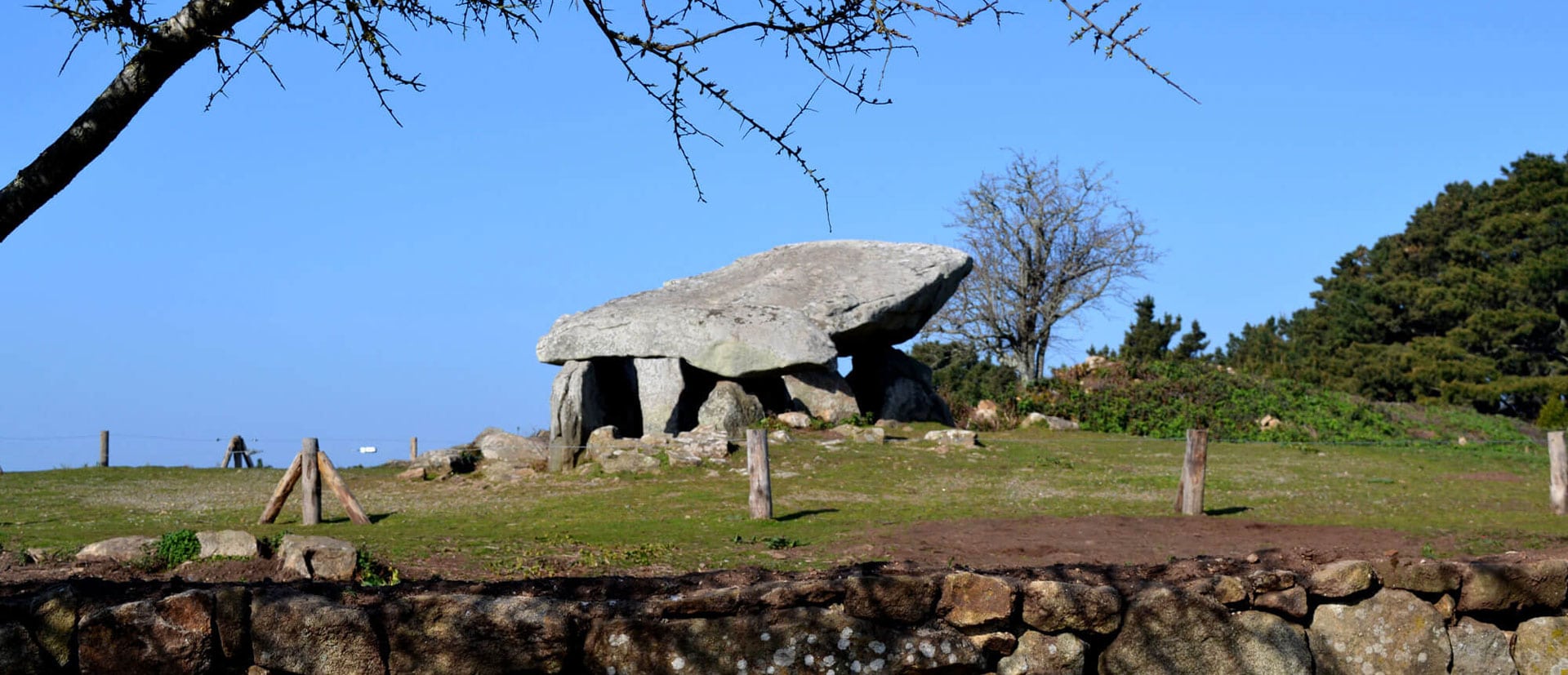 Menhirs ile-aux-moines