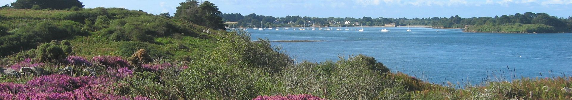 Littoral île-aux-moines